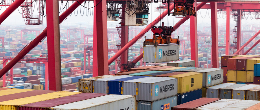 Precautions in dangerous goods maritime declaration