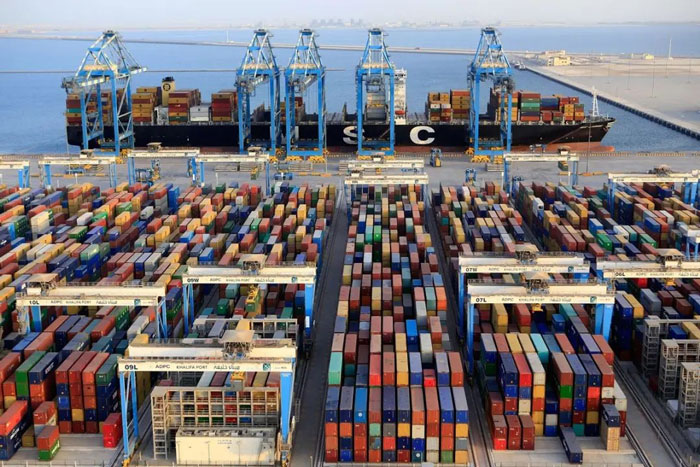 AD Ports worldwide acquisition