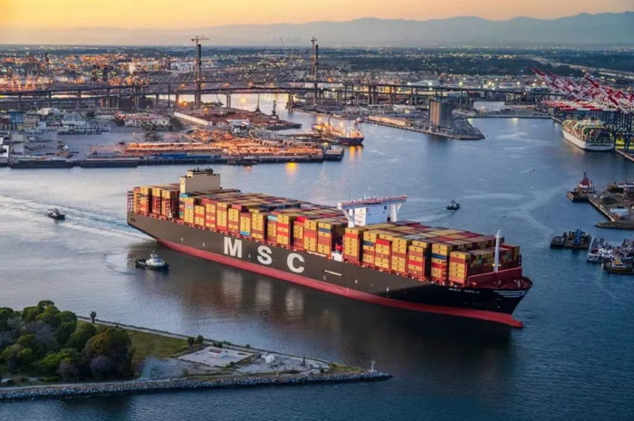 MSC